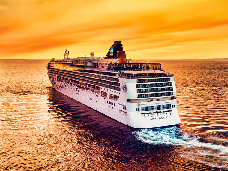 سنوركل جزيرة الوصل