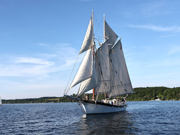 سنوركل شرم أبحر