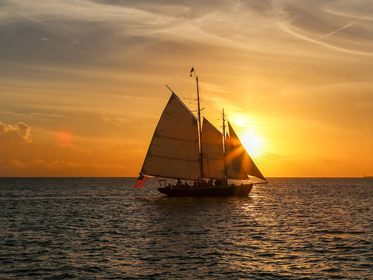 سنوركل جزر ينبع