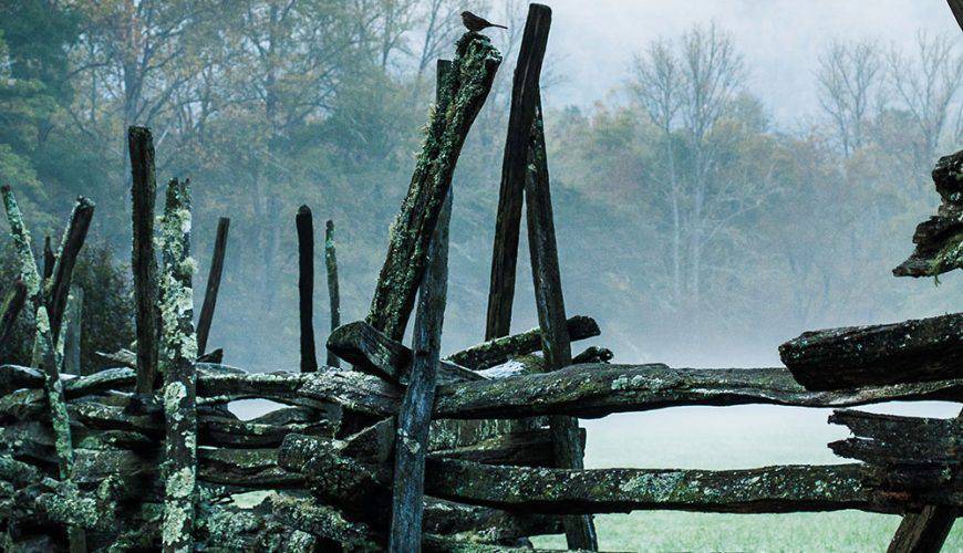 نيوم: مدينة المستقبل على ساحل البحر الأحمر